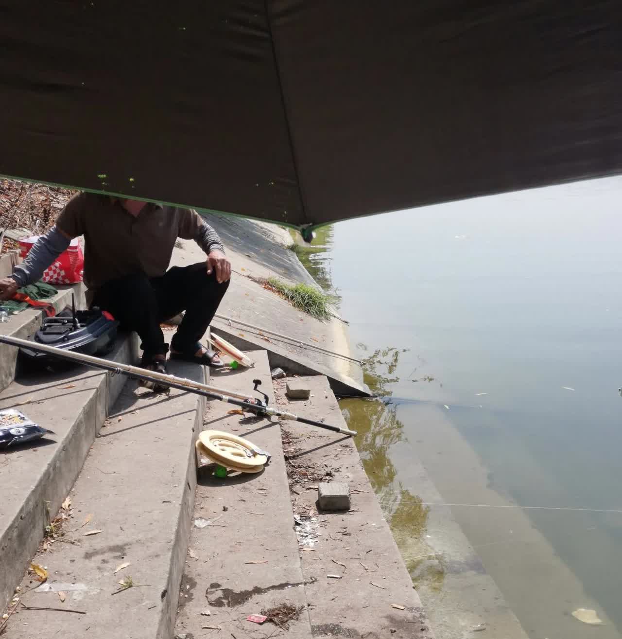 今天早上钓鱼时，碰到一个大叔，用的海竿专门钓鲢鳙，听他说早上5点多都到了。我是7