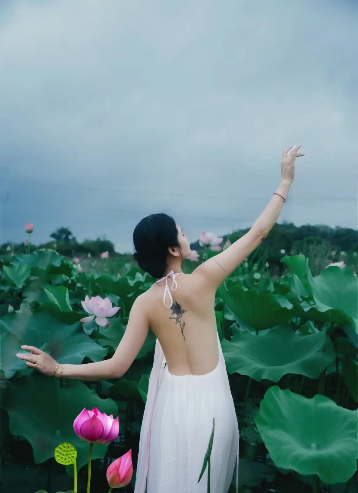 花影摇曳，与荷花共舞！！！[吃瓜群众]