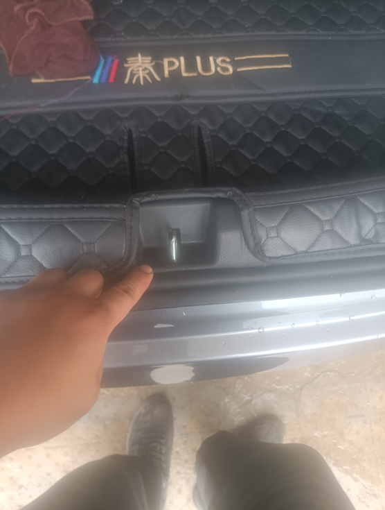 秦车辆漏电！大家快看自己的会吗？

座驾秦puls dmi 55km 旗舰版。今