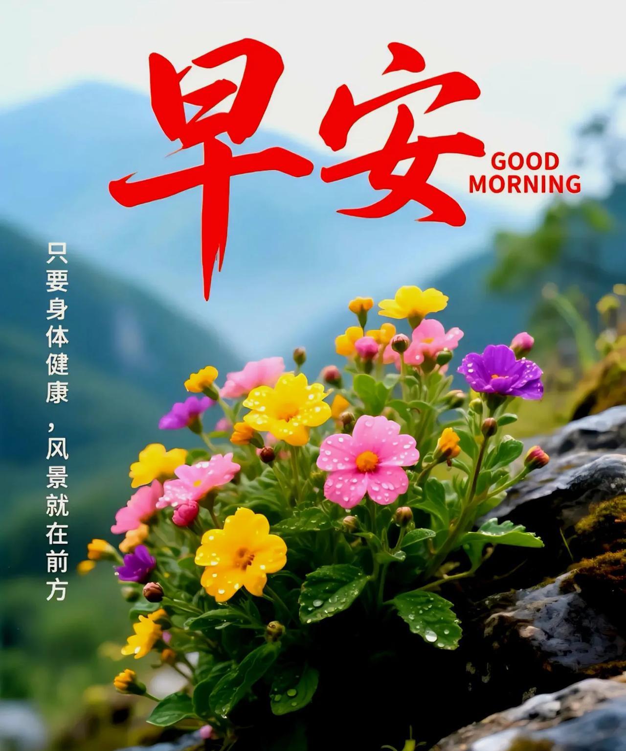 蝉鸣轻吟，暑气悄然，岁月悠长，秋凉依旧可期。往昔如序章，未来满是清凉与顺遂。愿你