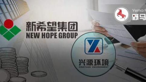 14.5亿借款再展期，新希望败走兴源环境