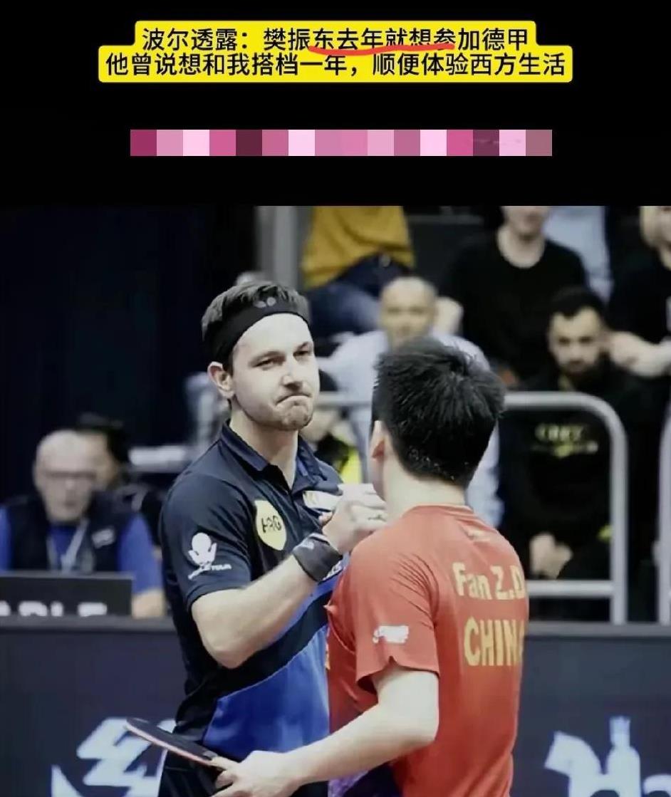 樊振东说“如果不是他，他就不打了。”这句话真的是一语多关啊！
樊振东在东京奥运会