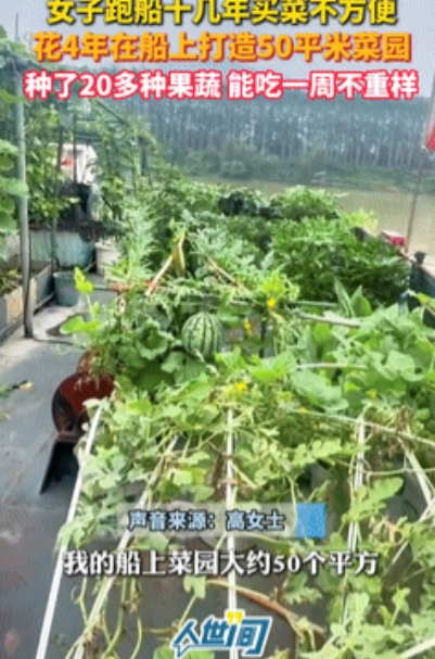 彻底解释不清了！”女子跑船吃不到新鲜蔬菜，竟在船上打造一个50㎡菜园！如今不仅能