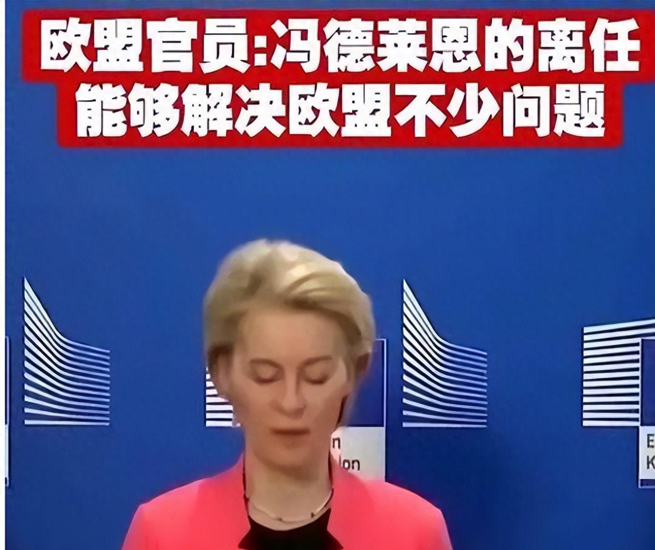冯德莱恩，再见了！欧盟再次出手，必须换人？
一场年度盛会，现场却冷风直吹，欧洲议