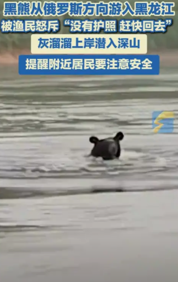 “惊险一刻！”5月29日，黑龙江，一位渔民下江捕捞时，却发现远处飞快游过来一个黑