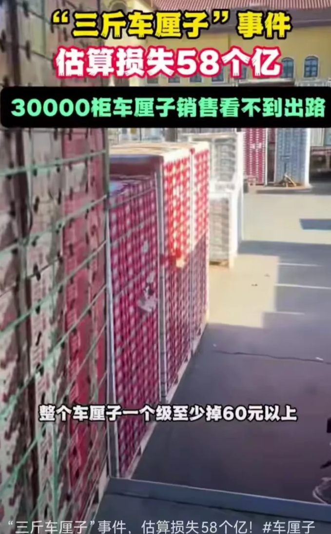 这名女子的视频估计自己也没想到这么厉害！让车厘子价格狂跌，预计损失58个亿。
据