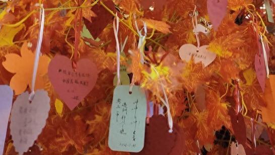 以感恩的心进行断舍离，收获更高水平和更持久的快乐