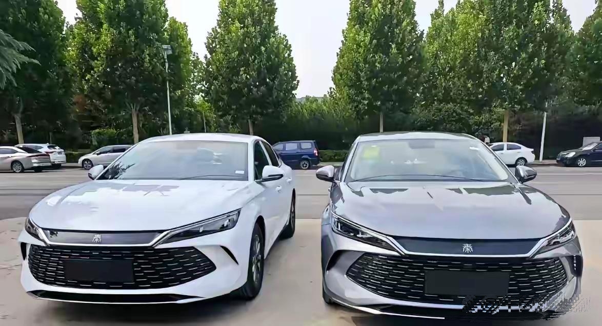 家人们，秦L这两个版本怎么选择好？目前在10.98跟11.98这两个版本之间纠结