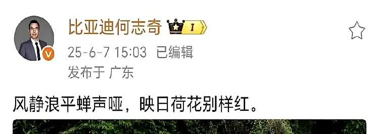 比亚迪副总裁何总疑似回应吉利高管杨学良汽车以卷为荣言论。

现在汽车市场确实