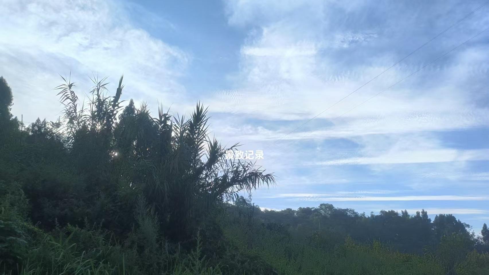 景致记录：狄更斯在美国精彩旅途，醉酒绅士从车顶滑落，无缘坐车