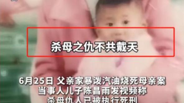 儿子送父上刑场：四年复仇路终结，小姨含泪告慰亡姐