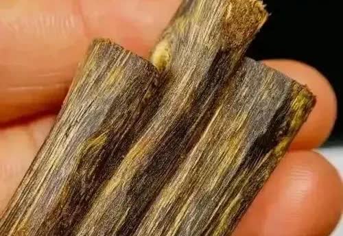 湖北，一名男子的爷爷离世了，他回老家去整理爷爷的租屋时，意外在床底下的一个木箱里
