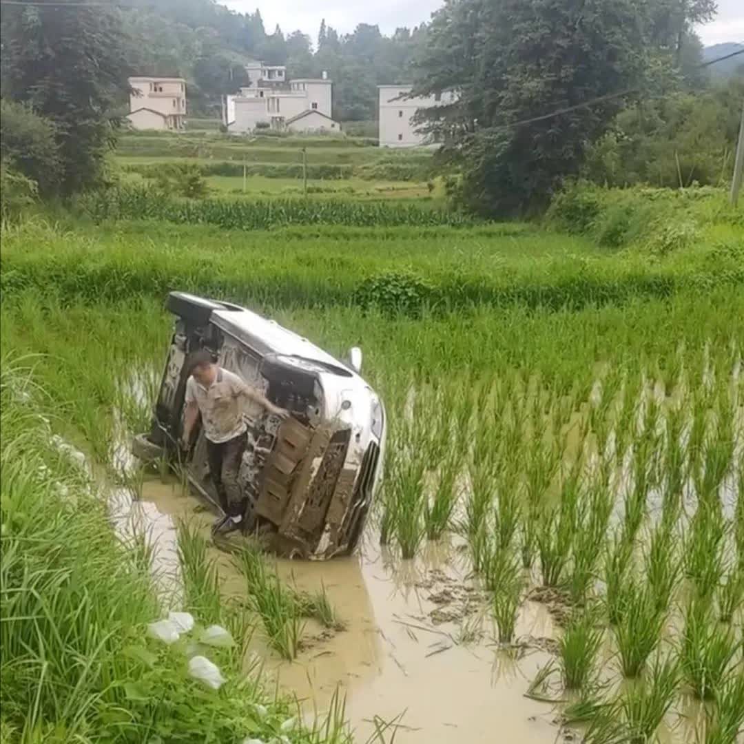 兄弟，你买车了？丰田还是本田？