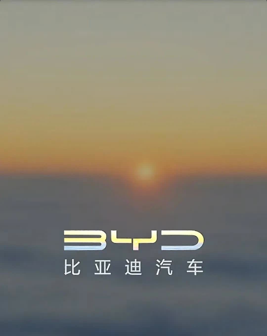 以前觉着比亚迪名字难听，
没什么档次。
后来知晓是Build your dr