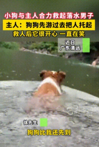万物皆有灵！”近日，广东一男子带着狗狗去水边游玩，不料这时有人突然落水了，千钧一