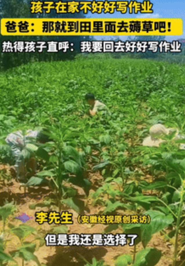 这下老实了！安徽阜阳，一男子因孩子不好好写作业，便带着他们到地里薅草，不料，还没