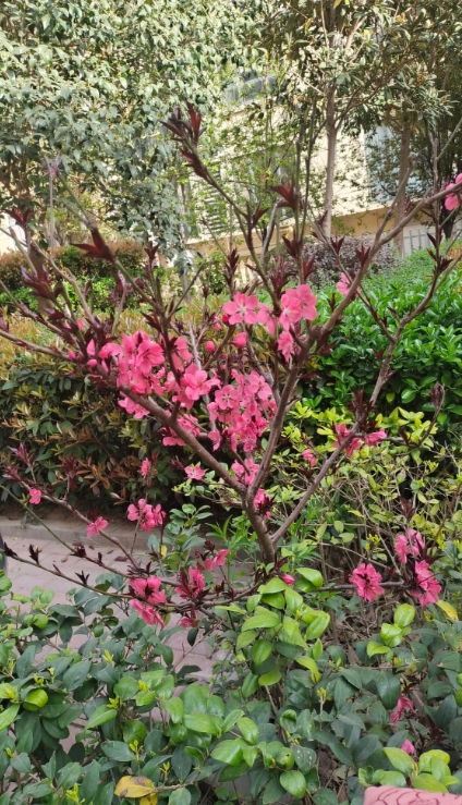 我大学同学远嫁，昨晚跟老公吵架，自己气得哭，又没有娘家人可以撑腰和诉苦……结果她