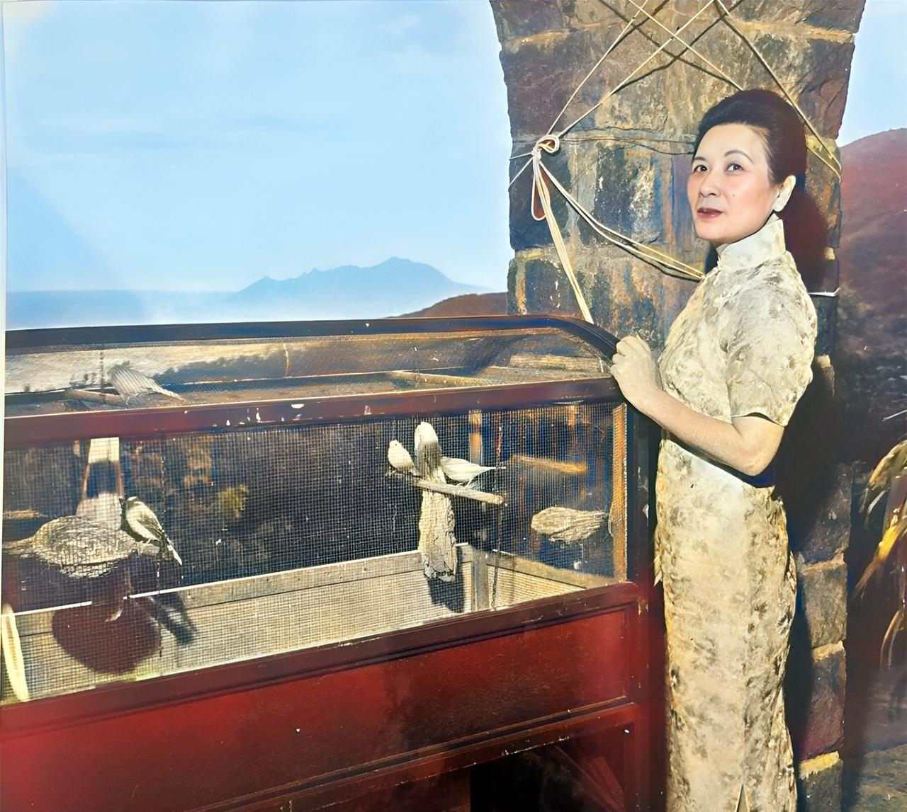 这是宋美龄投喂自己养的小鸟。宋美龄曾在士林官邸开辟了一个小型的动物园，里面曾饲养