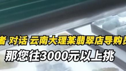 男子不愿玩自费项目被导游扔山里，监管部门介入，旅行社赔偿600