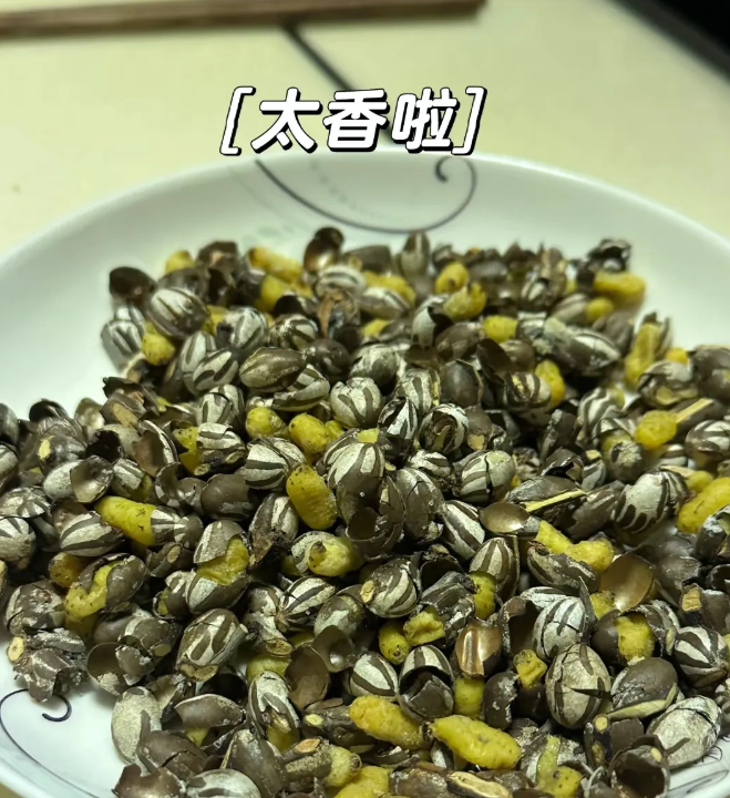 东北的朋友们，谁知道这是什么美食，太好吃了！