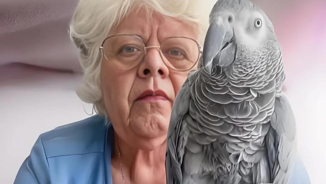 81岁老奶奶有家不能回，居然和她的非洲灰鹦鹉有关？