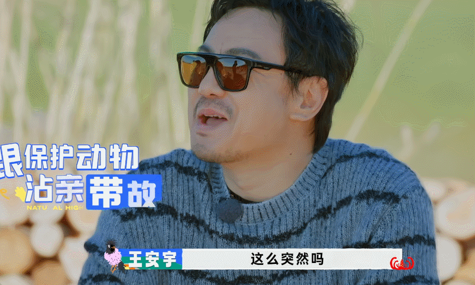 “丹顶鹤是沈腾老师的亲戚”！此话一出，胡先煦和王安宇爆笑出声，因为“丹顶鹤的亲戚