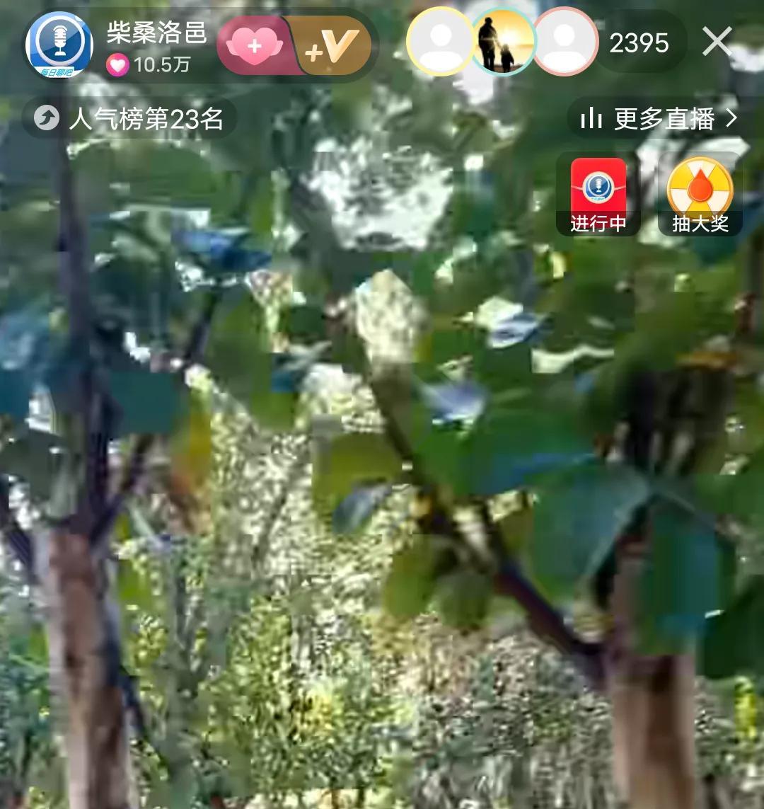 柴桑大姐说，9291定会载入史册的！
他们会永远牢牢的钉在耻辱柱上，
这次会议意