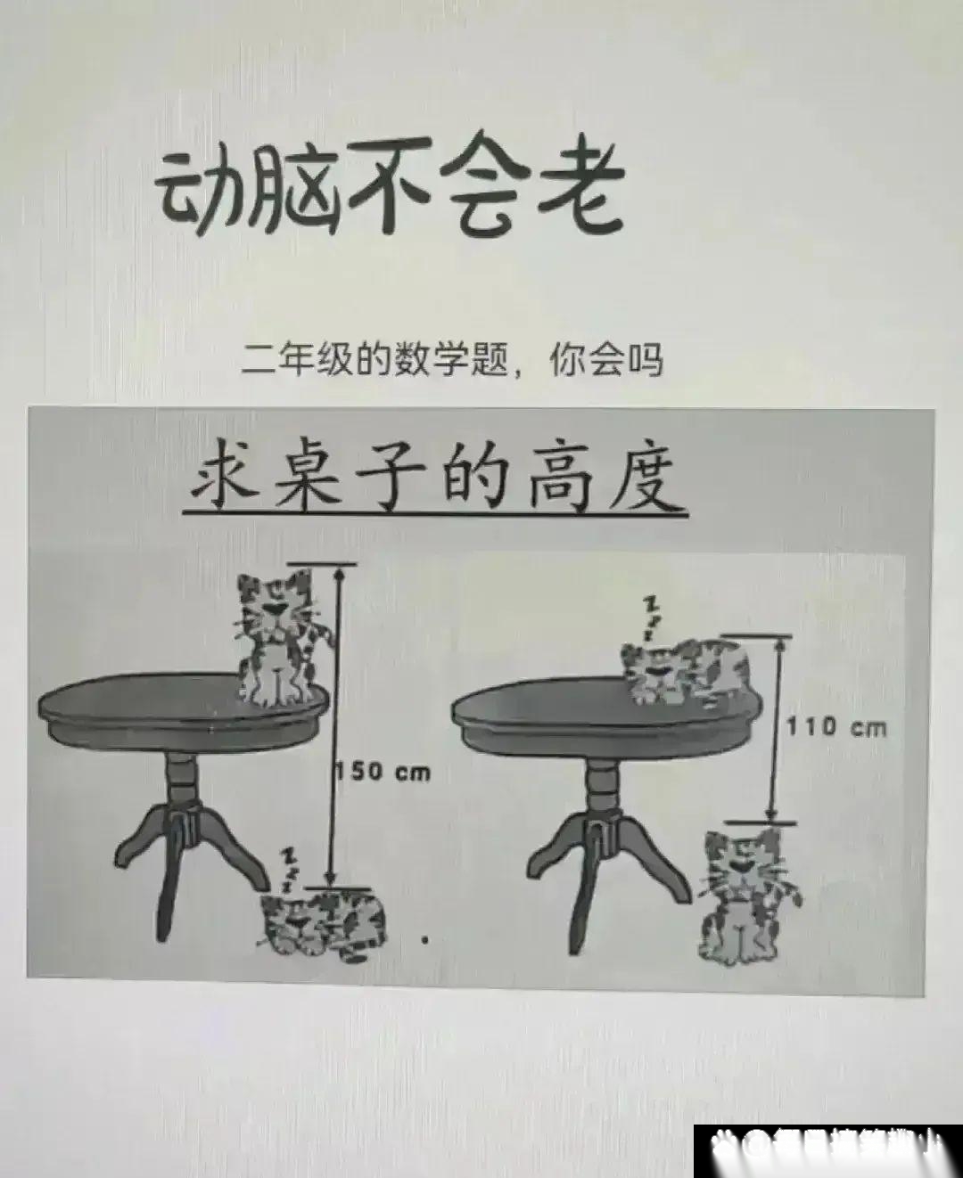 大神们二年级的题，怎么解？