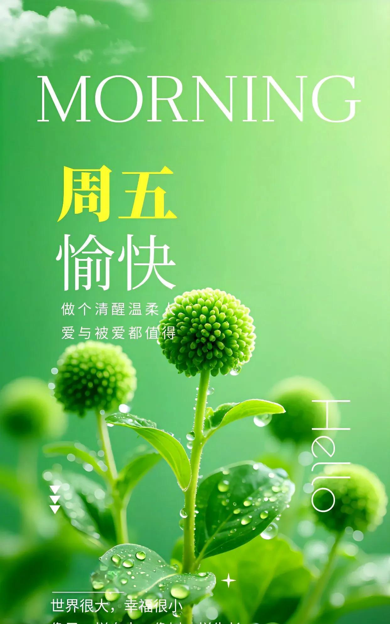 晨曦轻洒万物娇，
熠熠生辉景致妙。
问候如风暖心梢，
欢愉时刻身边绕。
好运似星