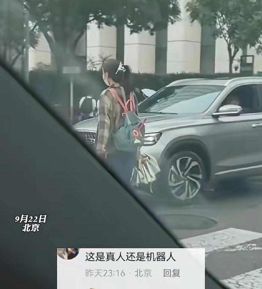 9月22日，北京的一条道路上，发生了堵车。其原因就是女子过斑马线时，龟速穿过马路