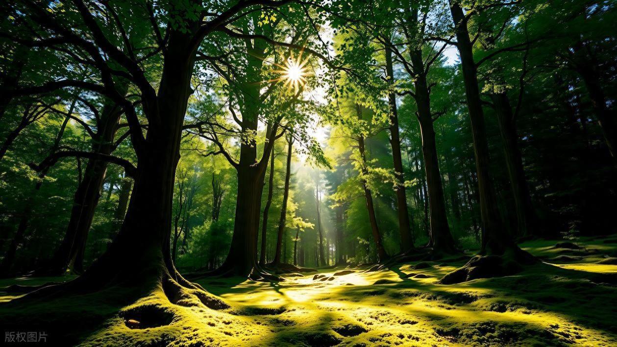 格拉辛纸袋FSC认证可回收可降解可堆肥电子产品手机平板环保包装