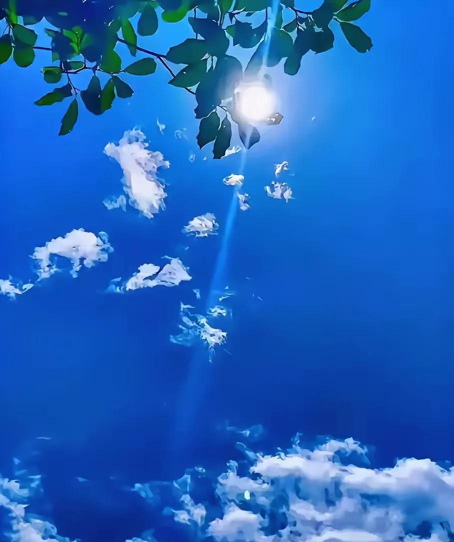 七绝·蓝天白云蕴祥瑞
文/方立新
蓝天宝石艳阳骄，
绿叶青枝望九霄。
蕴藉祥和盈