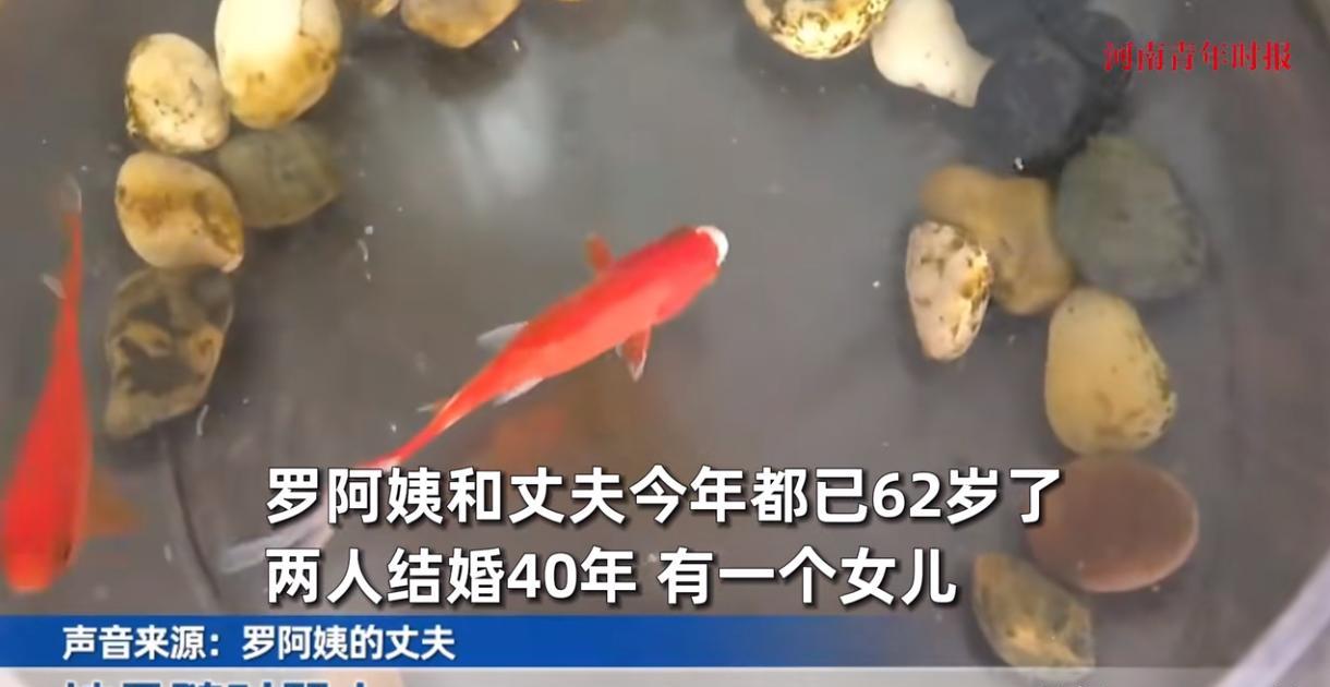 60岁阿姨当街骂丈夫，丈夫忍无可忍动手，随后离家出走。



2024年6月7日