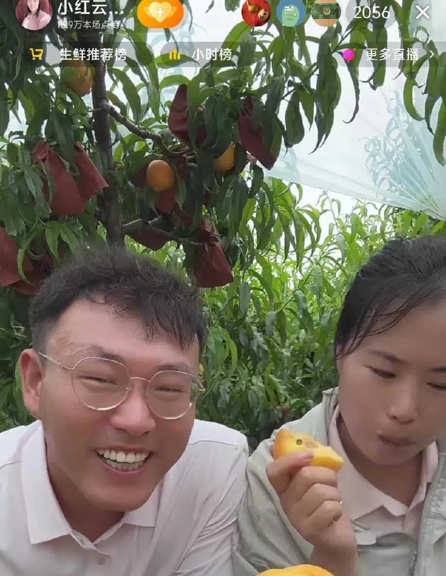 今天小红小丽打擂台，看来小红赢了，4个小时卖出了将近6万斤挑，真不错。
小丽直
