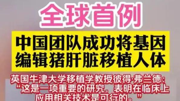 中国首例基因编辑猪肝移植成功，器官短缺困局被硬核破解了？