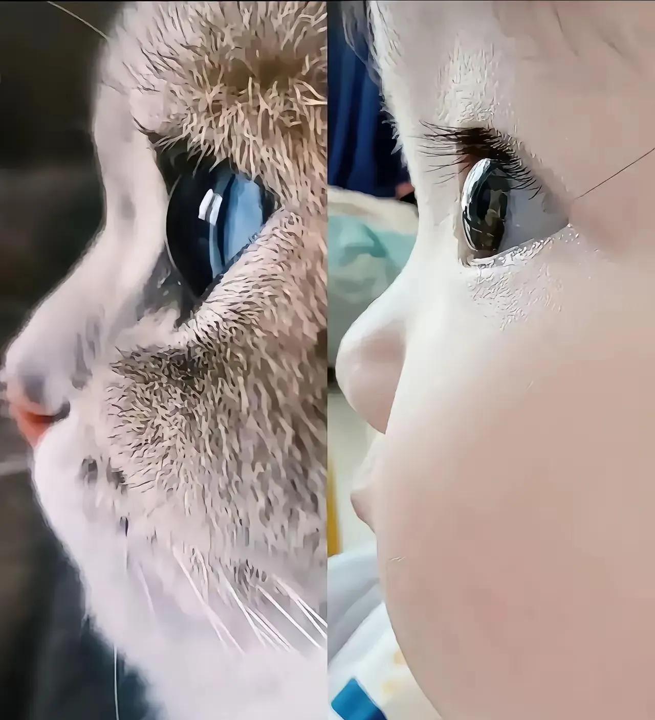 母子对话太经典！
儿子: 妈你手里到底有几个字儿？方便给儿子透露一下吗？
妈妈: