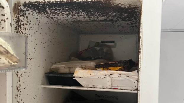 冰箱臭到老婆要扔掉？别急！这7个“天然除味神器”让臭冰箱秒变香