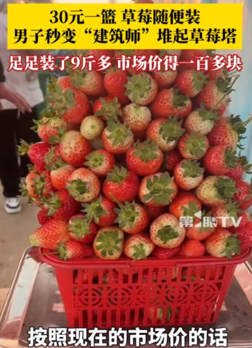 河南商丘一对夫妻去草莓园摘草莓，园主规定：30元一篮，只要装在篮子里的都算。谁料