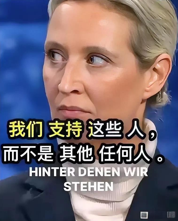 梅尔茨的表态反映出德国政坛主流对极右翼立场的抵制。AFD的一些观点背离了德国在俄