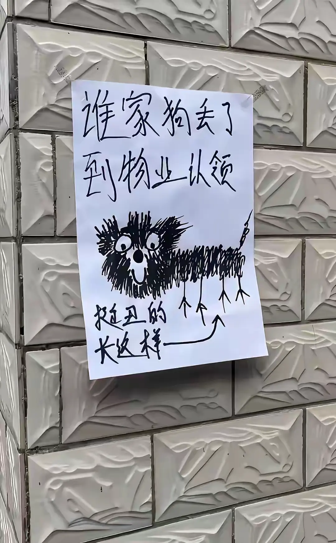 以为是抽象画，谁家狗那么丑？ 原来是写实