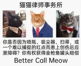 猫猫律师事务所
