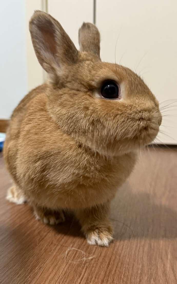 #万能生活指南#