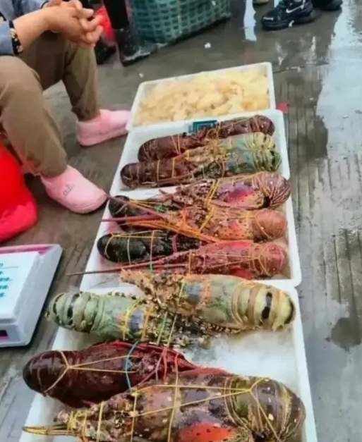 痛风啊，抱怨着就想吃碗大米饭