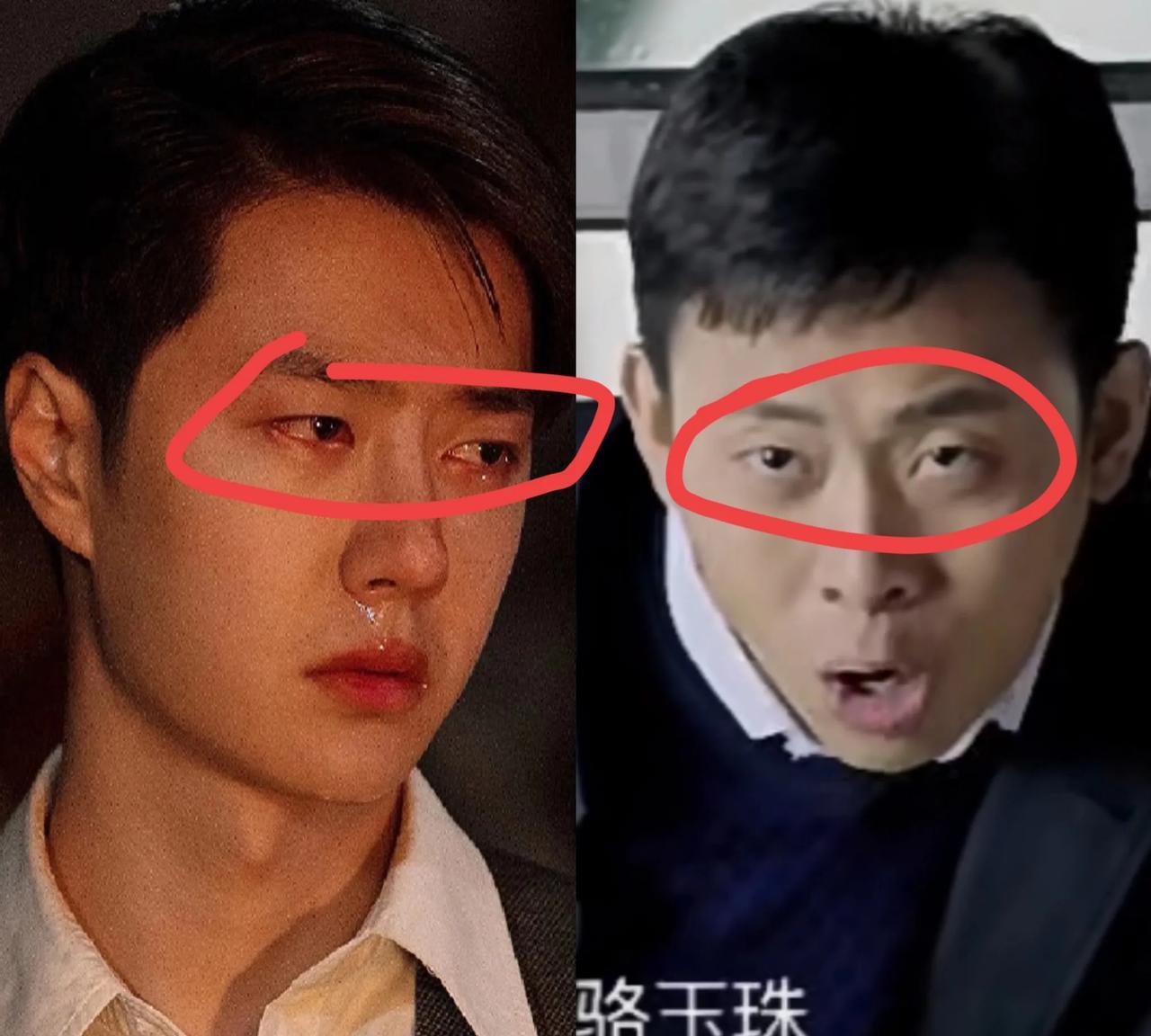 真的一整个人都傻了！
谁能想到？
华表奖影帝，这可是影帝啊，张译又又提名了，他还