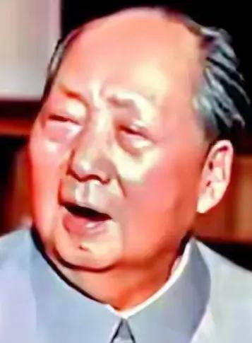 伟人——您让人民当家作主 您是当之无愧的伟大领袖