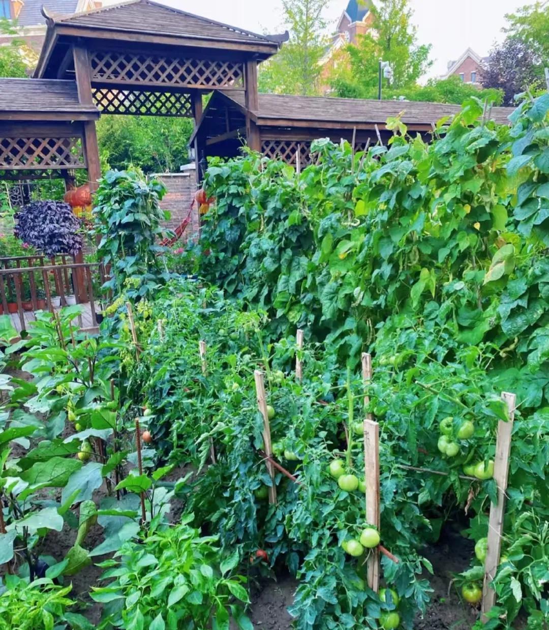 《安全》
想要自己身体健，
自己动手亲自干。
种粮种菜品种全，
…………？
抛砖