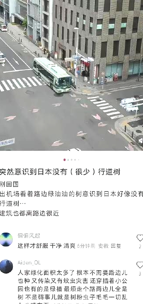 日本街头不种树、搞绿化，是正确还是错误。