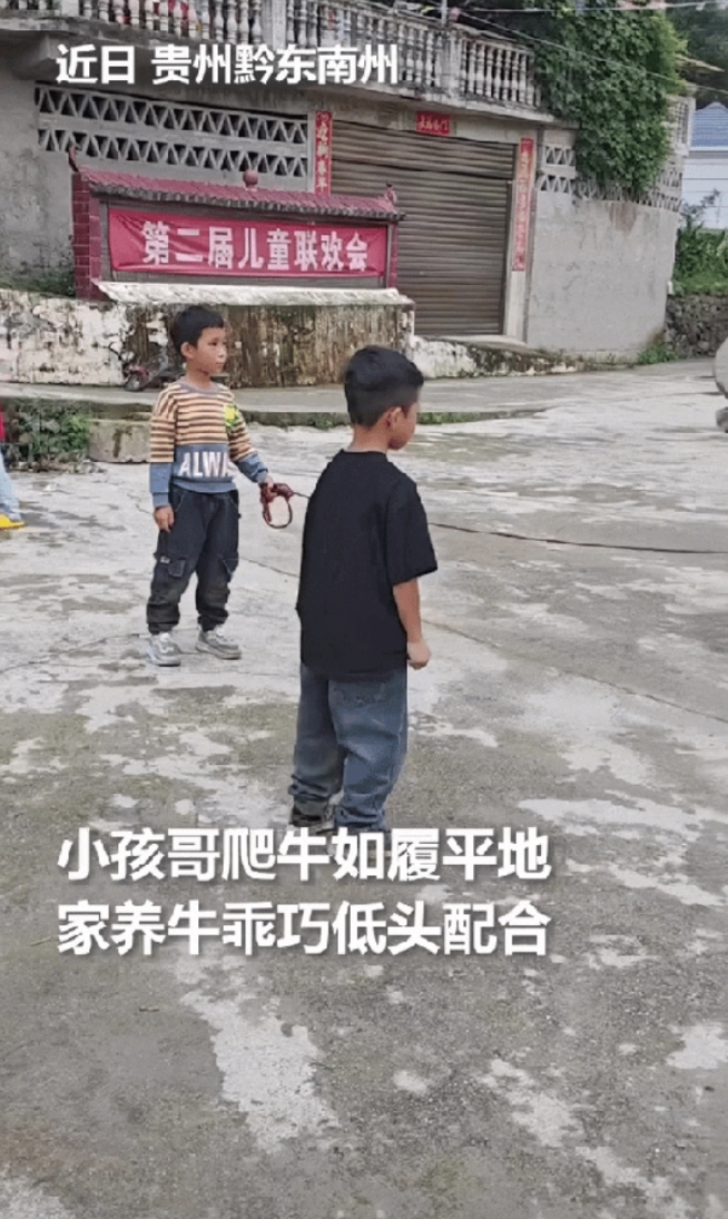 “太通人性了！”贵州，小孩牵着一头家养的牛准备回家，不料被一个身穿黑色上衣的男孩