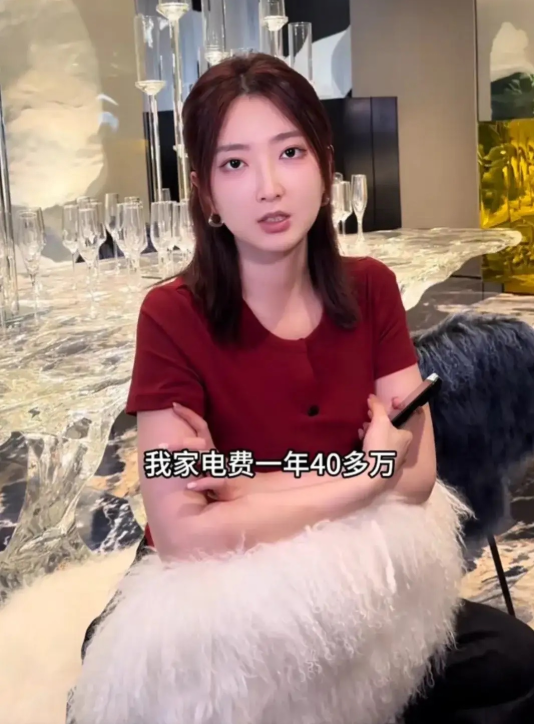 就说全球变暖赖不上穷人！
浙江 33 岁女子一年 40 多万电费的 1000 平