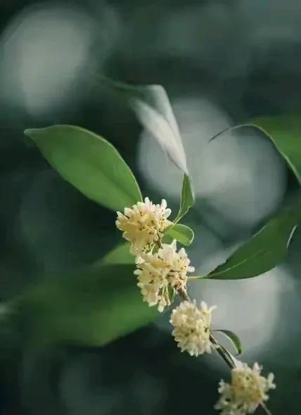 这个世上，真正属于你的，是这三点：你的身体、你的心情、生命中的每一天。



人